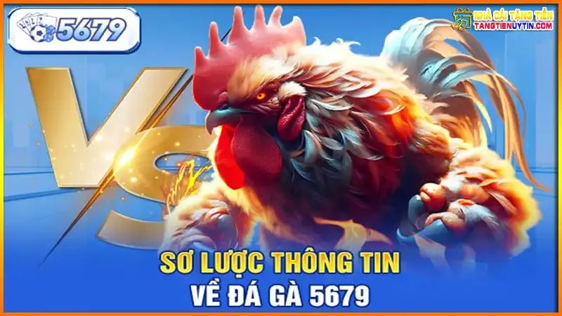 so-luoc-thong-tin-ve-da-ga-5679